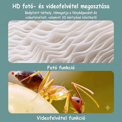 Loomiko Scope™